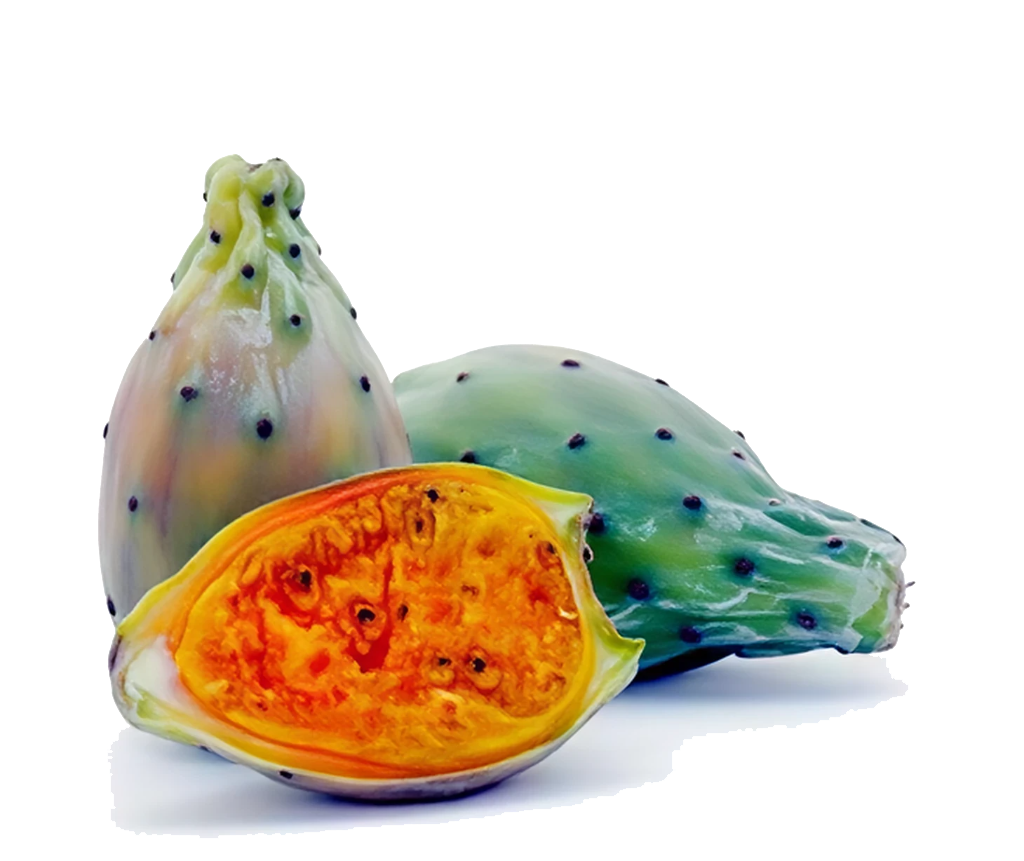 اﻟﺘﻴــﻦ اﻟﺸﻮﻛﻲ