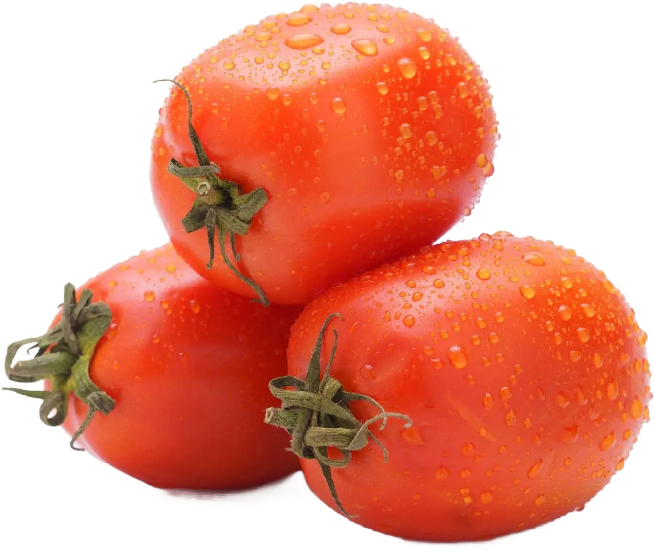 الطماطم اليمنية